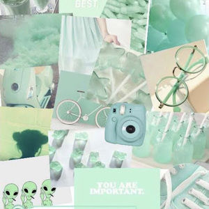 Meet your Posher, Mackenzie